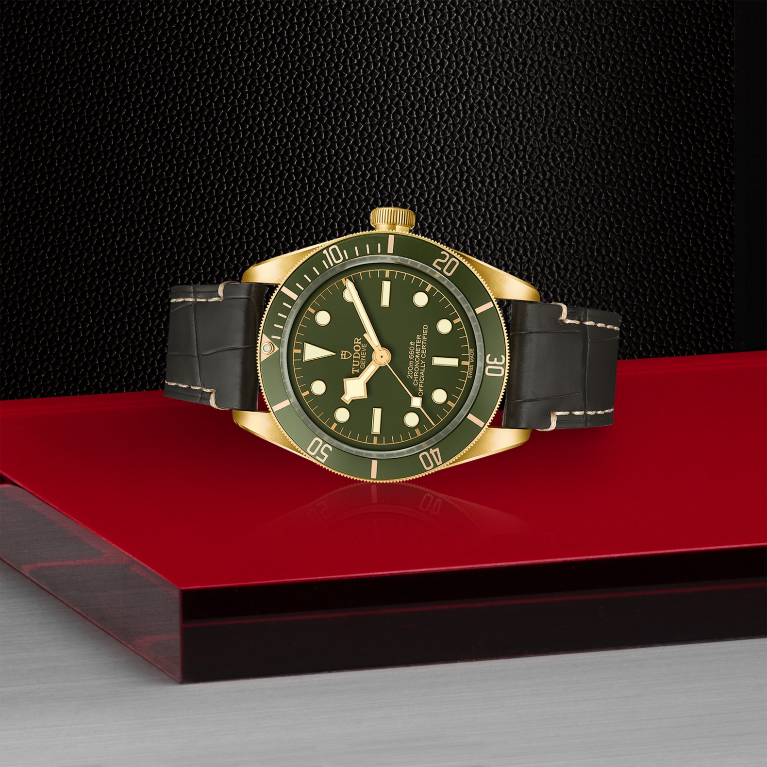tudor-m79000n-0001 (6)